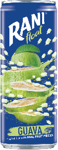 Rani Float Guava 24X240ML